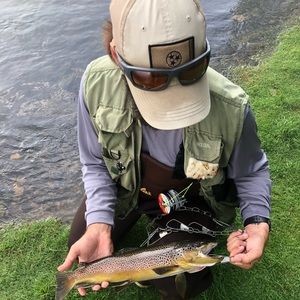 Meet your Posher, Joshua